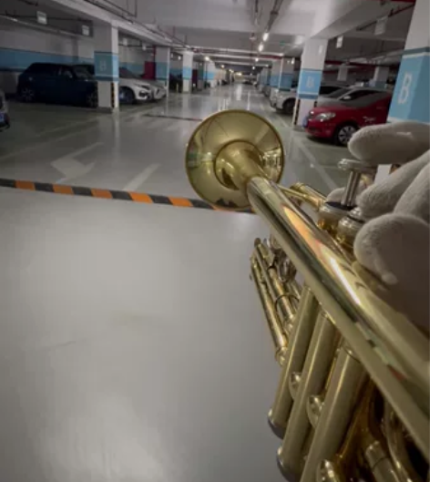 小号乐器，降b调，买来1800元，一口价7...