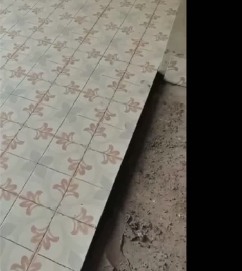 室内小拼花 感兴趣的话点“我想要”和我私聊...