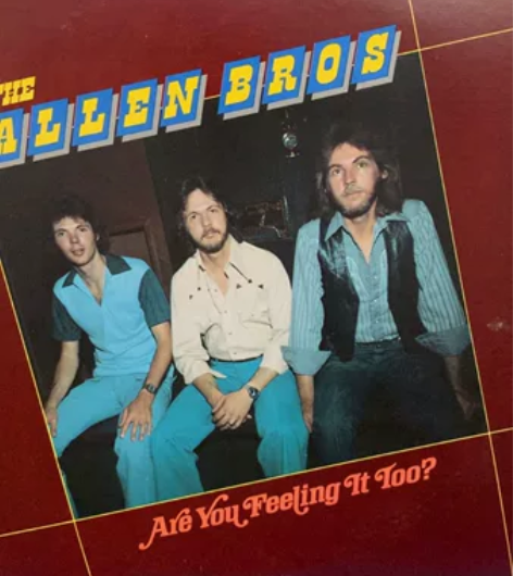 H2  乡村民谣黑胶唱片LP，米国老牌蓝草...