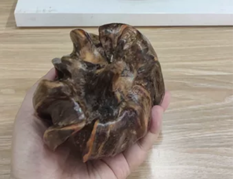 松香木瘤琥珀木北沉香松明子手把件，特别像灯...