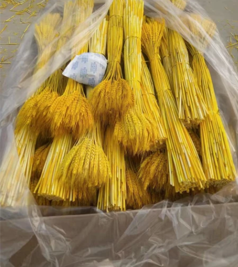 包邮100支8.9金色麦穗干花花束开业大卖...