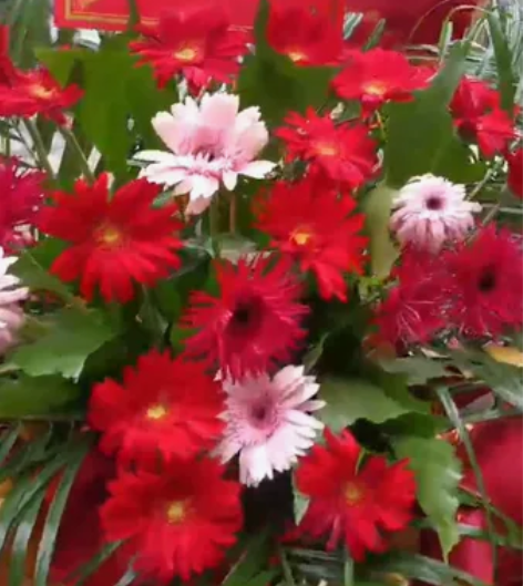 开业花篮60元一个 可自提可配送¥603人...