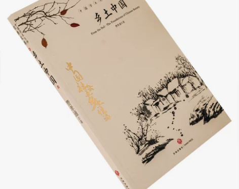 乡土中国 费孝通 中国文学大师经典文库课外...