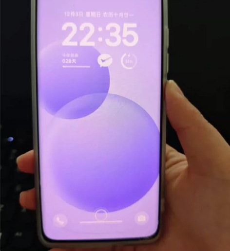 自用小米12X 8+256 2022年1月...