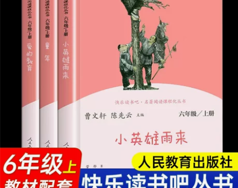 快乐读书吧六年级上册课外书全套 小英雄雨来...