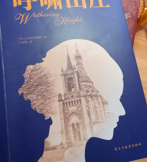 自读旧书，呼啸山庄，现实主义爱情小说 10...