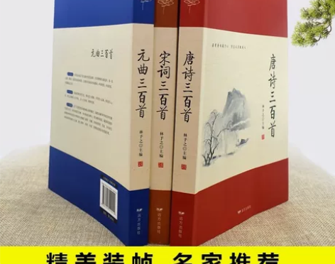 完整版 唐诗三百首全集正版唐诗宋词元曲30...