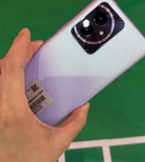 闲置出荣耀100 16+256G 莫奈紫，...