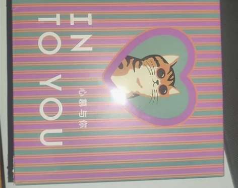 INTO YOU氛围感五色眼颊粉盘腮红眼影...