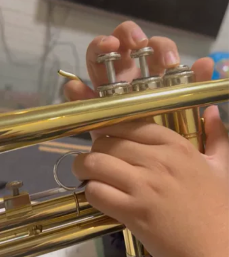 津宝JBTR-300小号金色，校队发的小号...