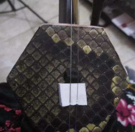 黑檀木二胡400 感兴趣的话点“我想要”和...