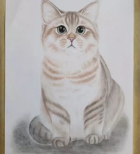 手绘猫咪彩铅画，8开，3张包邮 感兴趣的话...