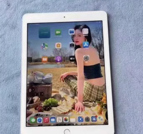 追剧游戏ipad2019 原装95新ipa...