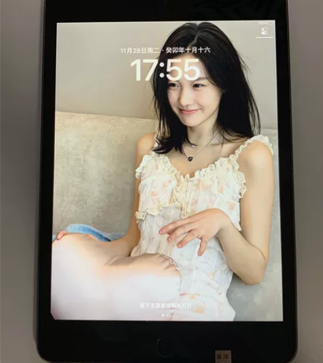 iPad mini5 64g插卡 7.9寸...