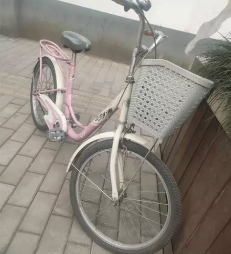 22自行车，飞利浦牌子，质量好，价格合理，...