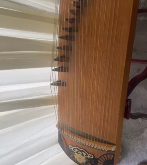 孩子上初中了不用了，放家占地方。原价580...