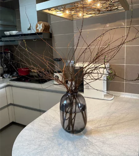 【低价处理】19.5一个大肚玻璃花瓶马醉木...