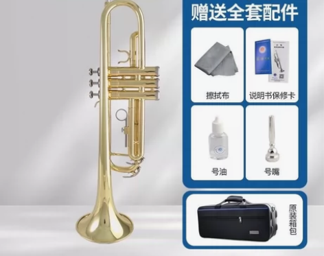 星海小号乐器B调音色透亮成人儿童入门专业考...