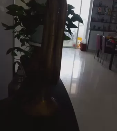 铜号 壹把保存完好精美的铜号,具体生产年代...