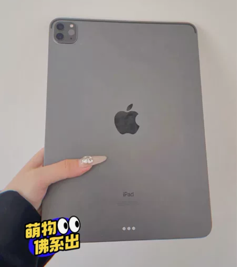 带笔出学生自用iPad2020 128G ...