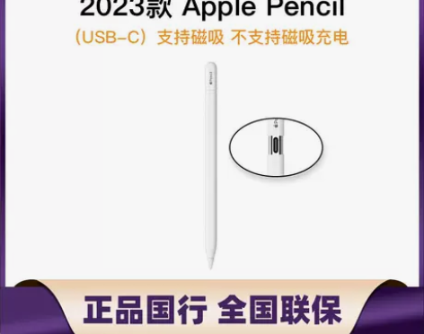 Apple Pencil (USB-C) ...