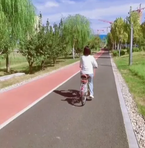 【特价】飞鸽自行车男女通勤车轻便车24寸2...