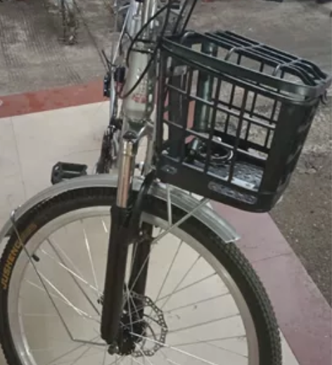 飞鸽牌的。买回来一次都没有骑行过，买来妹妹...