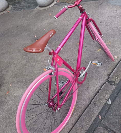 全新未开封死飞，活飞两用，700轮组，国外...