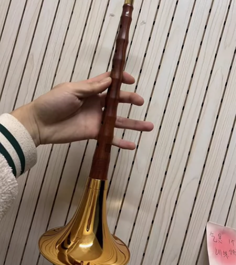 从氏专业演奏级c调精品红木唢呐 买的还不到...