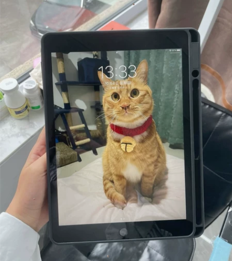 学生出板板iPad2021款ipad9代1...