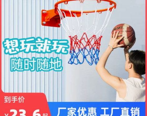 篮球架标准室外篮球框投篮室内儿童篮筐篮球框...