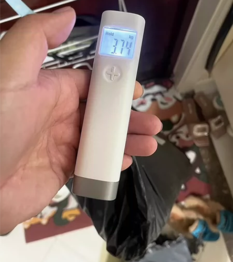 手提电子秤小型买菜秤称便携式 [火]精准称...