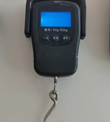 手提称，可称50克到50公斤，快递公司专用...