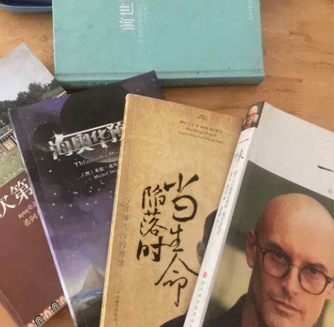 《次第花开》《海奥华预言》《当生命陷落时》...