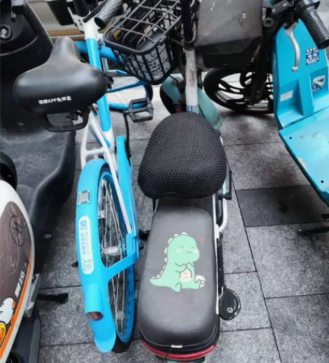 哈啰棒途48v电动自行车 后轮胎破了，可能...