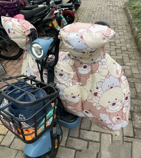 低价卖台铃电动车，8成新，续航30公里左右...