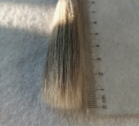 九十年代长锋羊毫毛笔，细光锋。 喜歡收藏的...