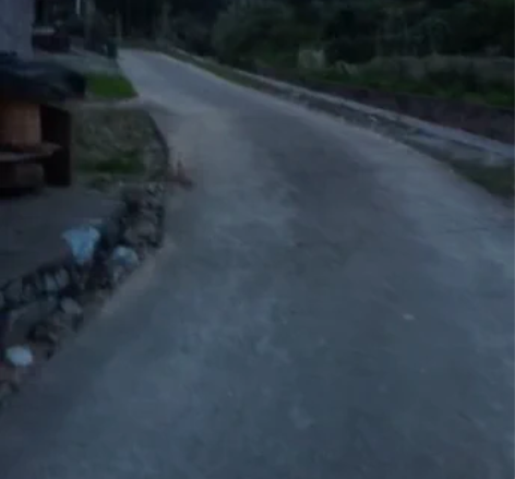 自己老家养的纯土蜂蜜 视频里的这些蜜蜂桶就...