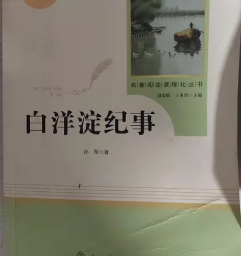 全新半价出白洋淀 纪事 感兴趣的话点“我想...