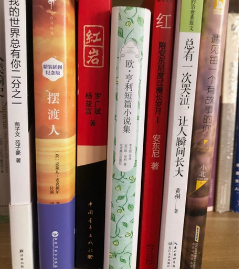 一本12 两本20 别问了没有安东尼红。。...