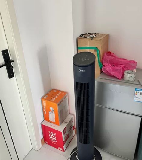 新飞小冰箱 美的风扇 三角牌电饭锅...