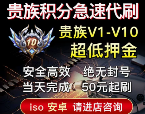 低价贵族王者荣耀贵族积分代升V8V10安卓...