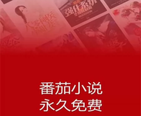 番茄小说会员提供360天年卡、季卡、月卡及...