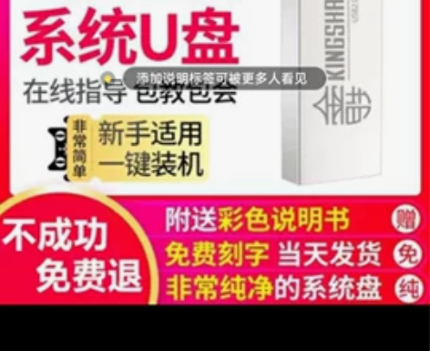 win10正版电脑重装系统u盘一键装机wi...