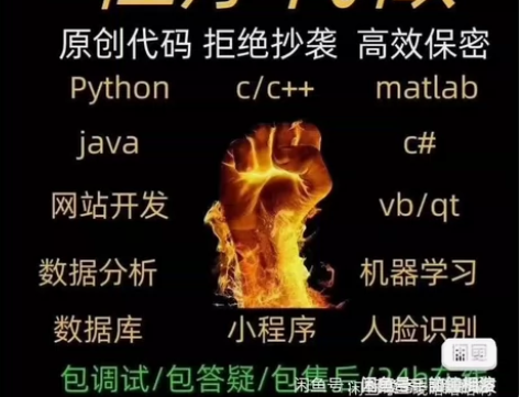 python代编程matlab软件开发代编...