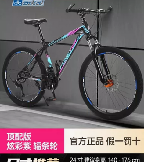 永久牌山地自行车，26寸24速，10月中旬...