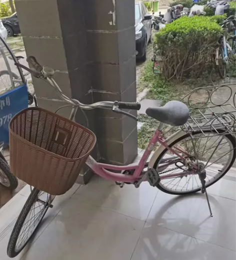 闲置永久自行车，几乎也就骑过两三个月就不骑...