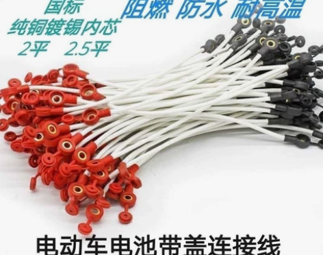 #我的新年第一发#电动车电瓶车三轮车48V...