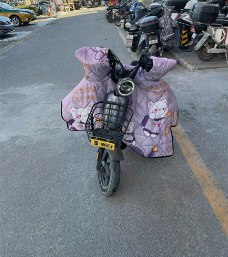 闲置新日牌电动自行车 可骑行二十多公里 北...