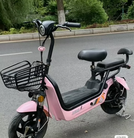 白菜价甩卖二手电动车，电动自行车低价处理 ...